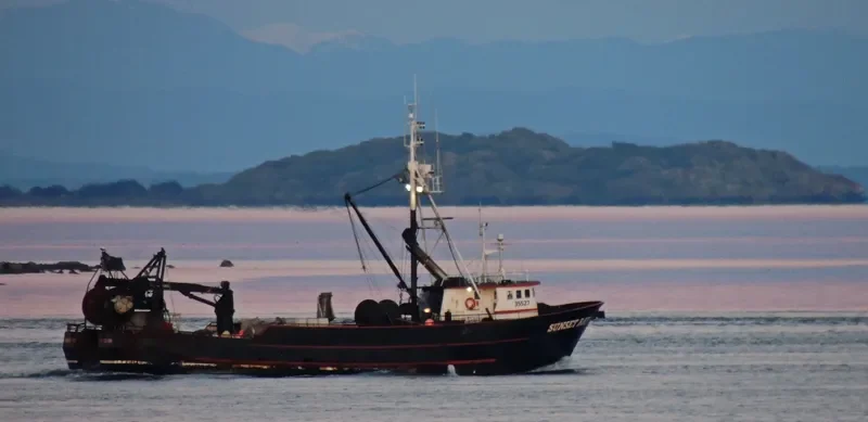 SUNSET BAY General Cargo IMO 7820150 photo 3