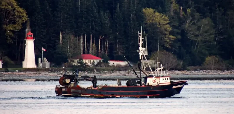 SUNSET BAY General Cargo IMO 7820150 photo 5