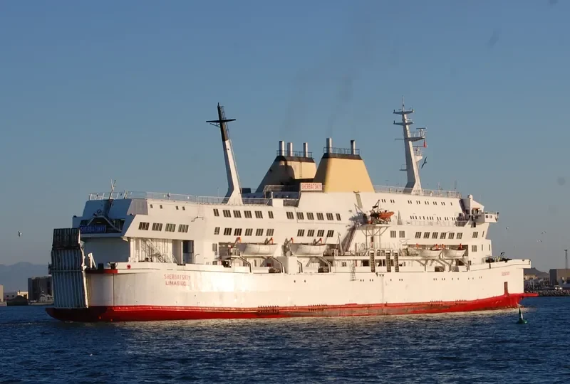SHERBATSKIY Ro-Ro IMO 7820497 photo 6