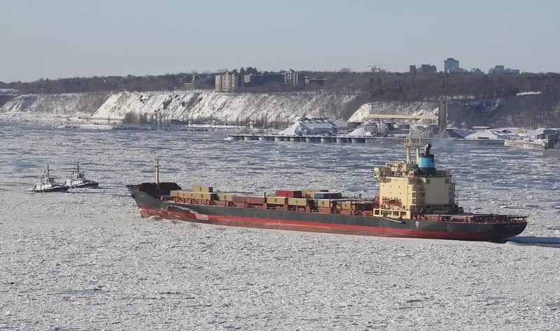MSC ENDURANCE Container Ship IMO 7820849 photo 2