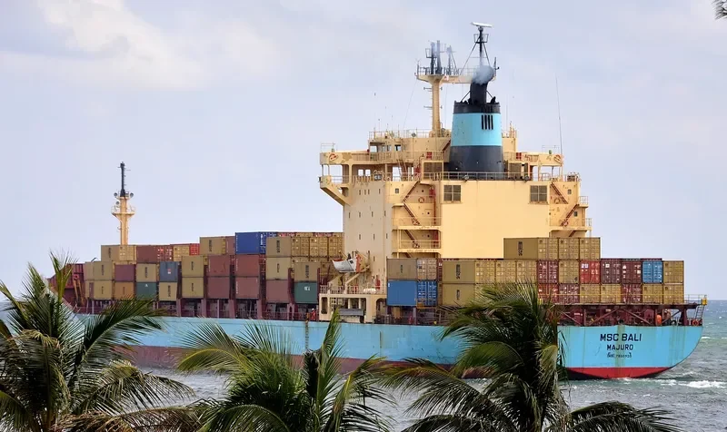 MSC BALI Container Ship IMO 7820930 photo 6