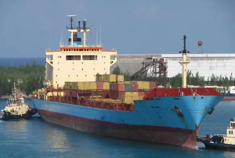 MSC BALI Container Ship IMO 7820930 photo 10