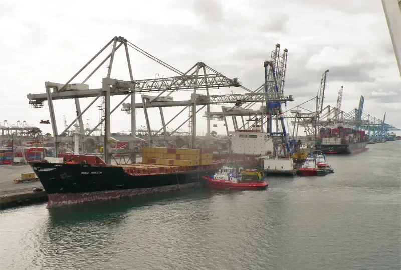 NIKI Container Ship IMO 7820942 photo 2