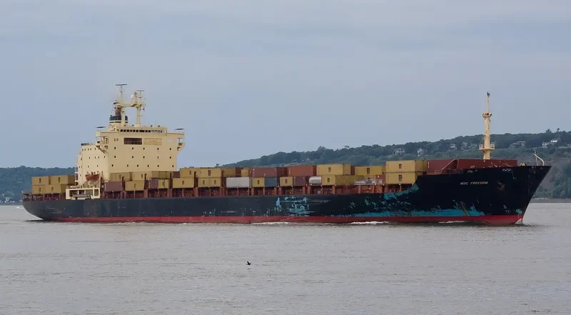 MSC FREEDOM Container Ship IMO 7820954 photo 2