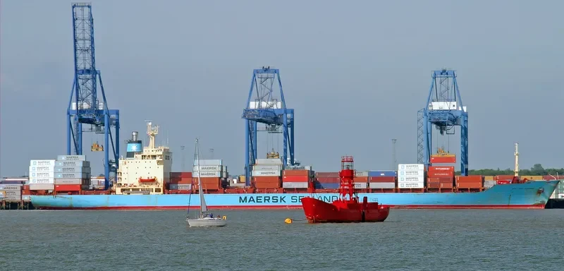 MSC FREEDOM Container Ship IMO 7820954 photo 3