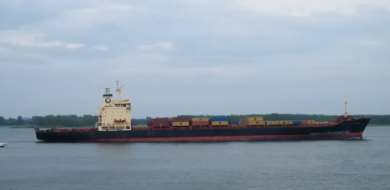 MSC FREEDOM Container Ship IMO 7820954 photo 4