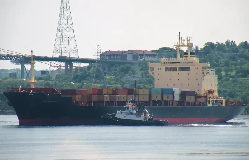 MSC FREEDOM Container Ship IMO 7820954 photo 5