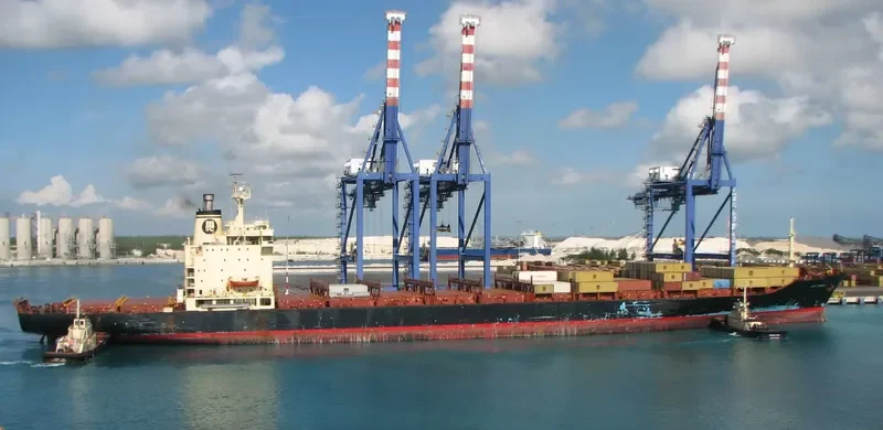MSC FREEDOM Container Ship IMO 7820954 photo 7