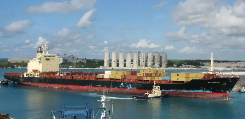 MSC FREEDOM Container Ship IMO 7820954 photo 8