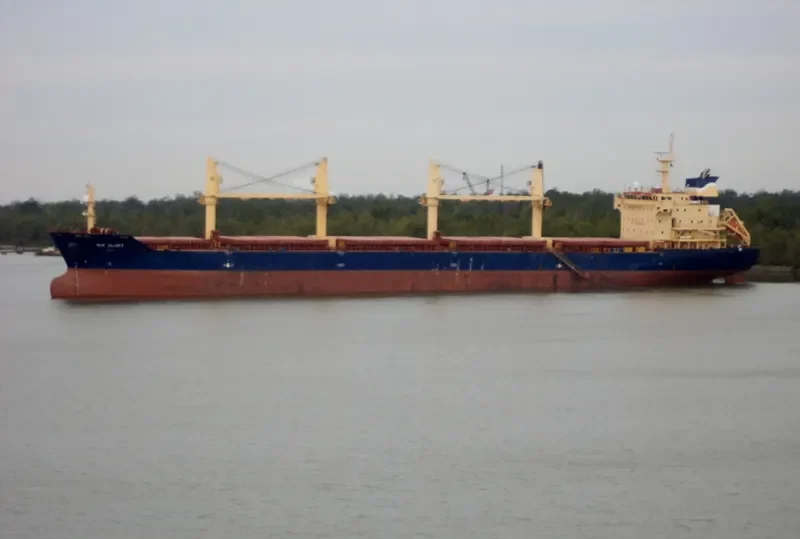 MSC DAMLA Container Ship IMO 7820966 photo 2