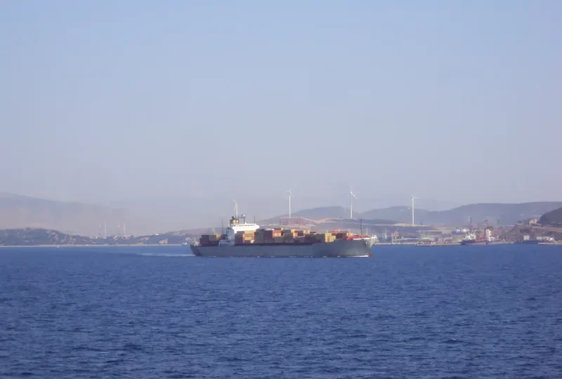 MSC DAMLA Container Ship IMO 7820966 photo 3