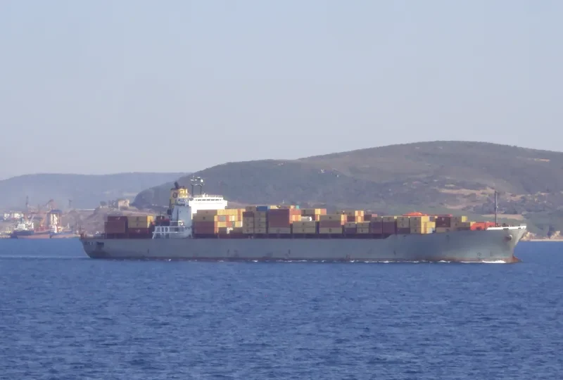 MSC DAMLA Container Ship IMO 7820966 photo 4