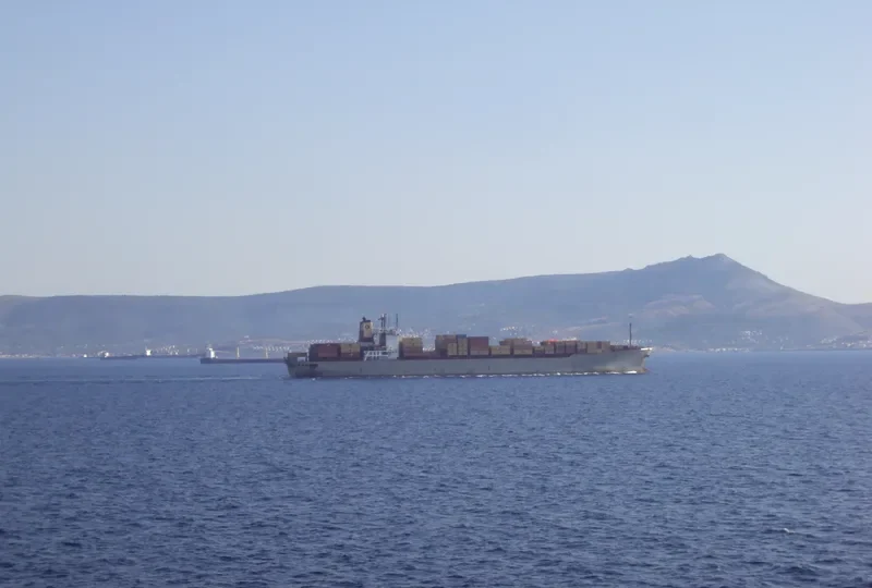 MSC DAMLA Container Ship IMO 7820966 photo 6
