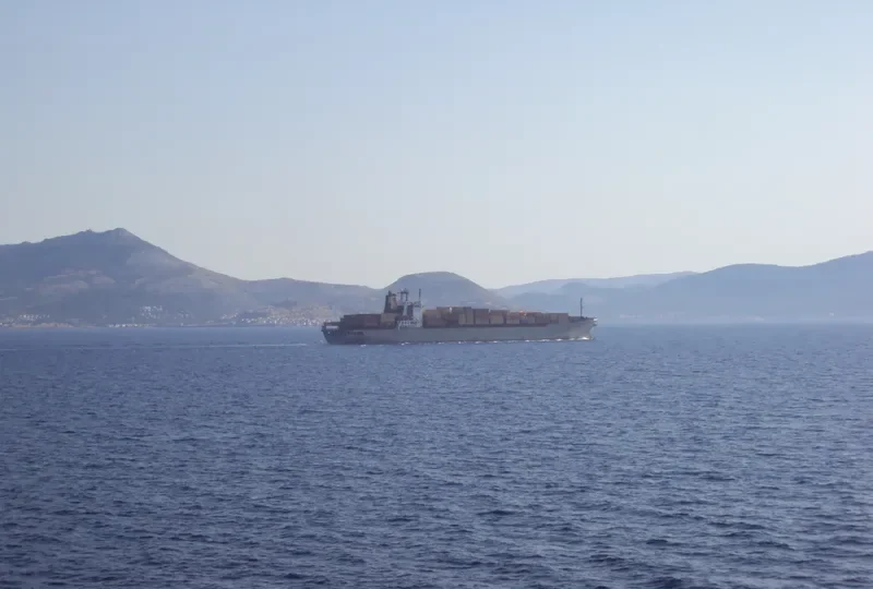 MSC DAMLA Container Ship IMO 7820966 photo 7