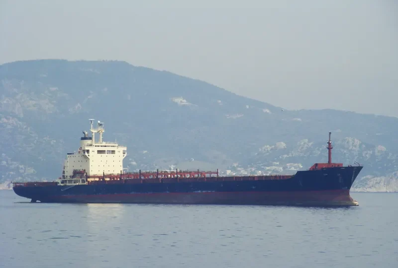 LYS Container Ship IMO 7820980 photo 3