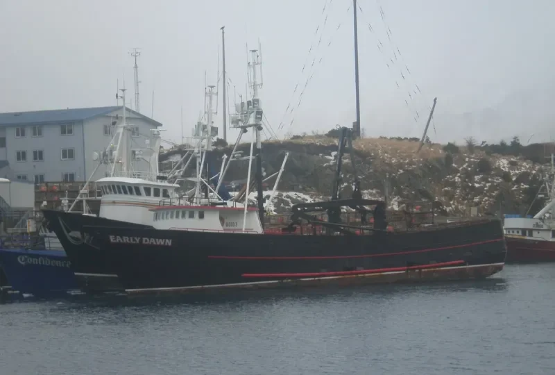 EARLY DAWN Fishing Vessel IMO 7821130 photo 2