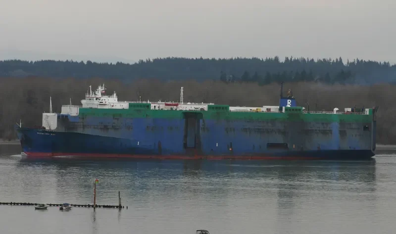 DIAMOND RAY General Cargo IMO 7821477