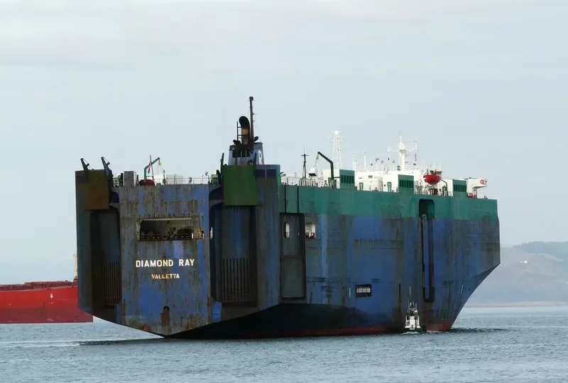 DIAMOND RAY General Cargo IMO 7821477 photo 2