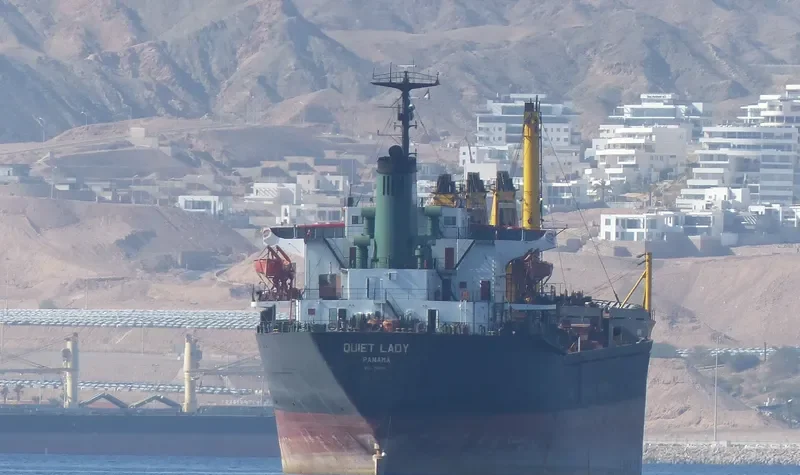 QUIET LADY Bulk Carrier IMO 7821506 photo 4
