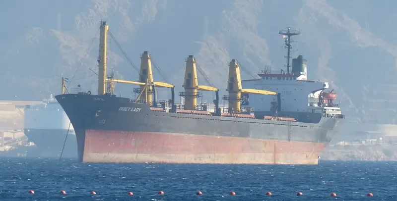 QUIET LADY Bulk Carrier IMO 7821506 photo 6