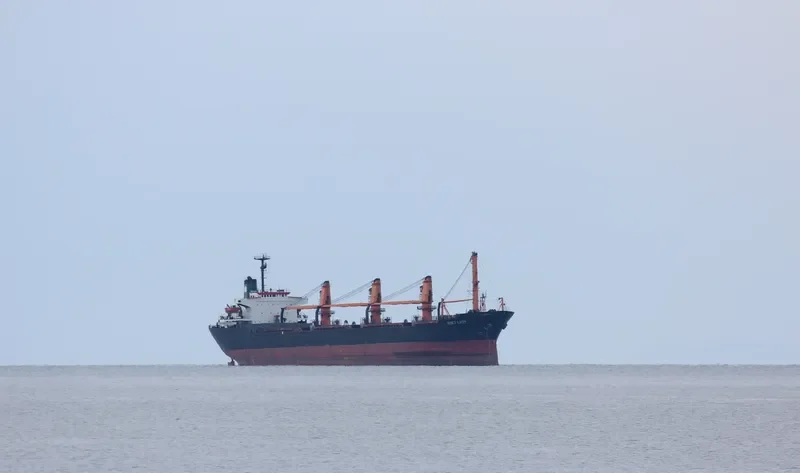 QUIET LADY Bulk Carrier IMO 7821506 photo 9