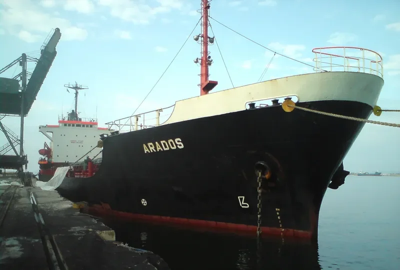 ARADOS Bulk Carrier IMO 7821594 photo 3