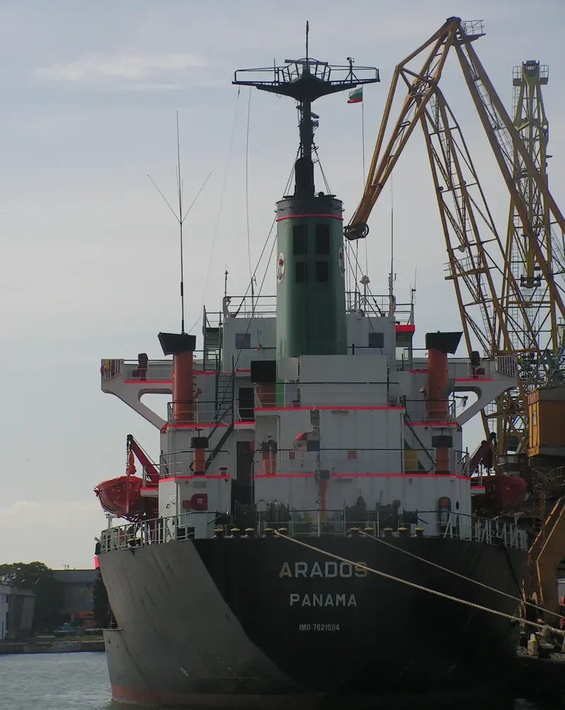 ARADOS Bulk Carrier IMO 7821594 photo 6