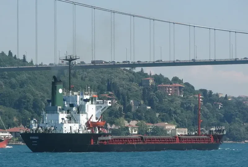 ARADOS Bulk Carrier IMO 7821594 photo 10