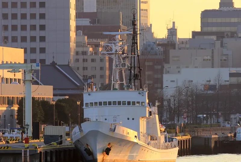 SURUGA General Cargo IMO 7821611