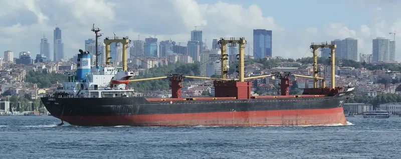 ABBOUD G Bulk Carrier IMO 7821635 photo 6