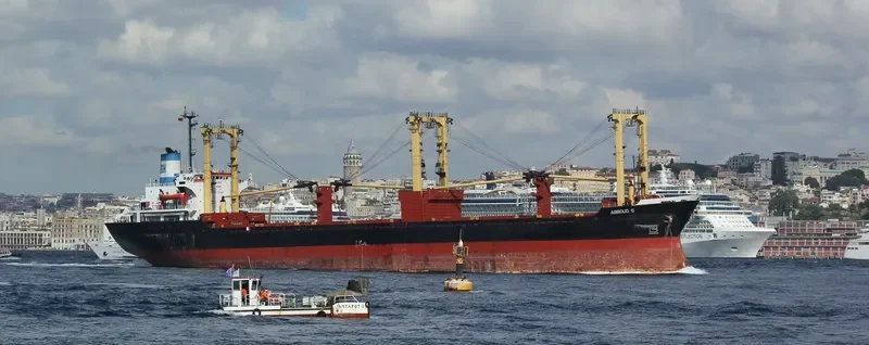 ABBOUD G Bulk Carrier IMO 7821635 photo 7