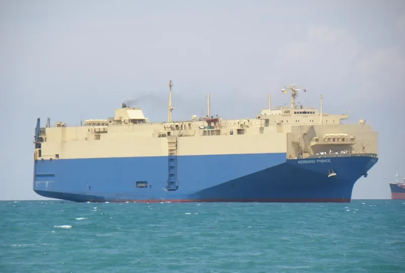 MORNING PRINCE General Cargo IMO 7822134 photo 4