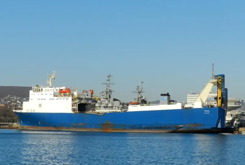 BEYAZID BESTAMI Ro-Ro IMO 7822184 photo 7