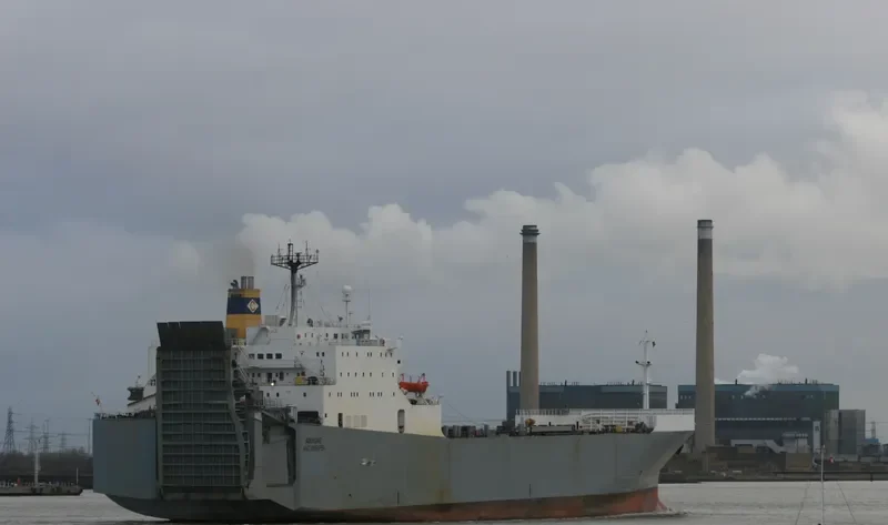 QUILL Ro-Ro IMO 7822196 photo 8