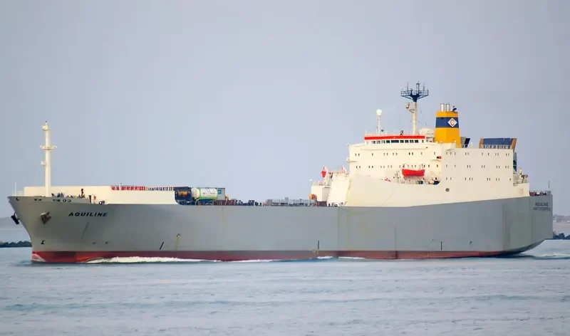 QUILL Ro-Ro IMO 7822196 photo 10