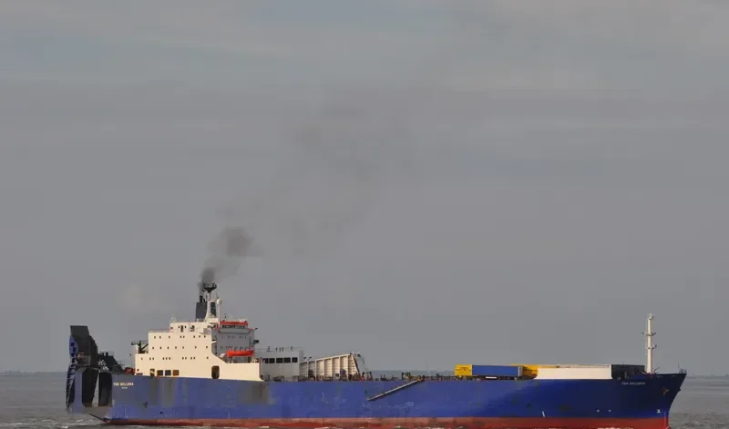 EURASIAN LINK Ro-Ro IMO 7822213 photo 4
