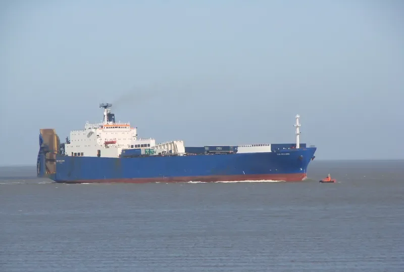 EURASIAN LINK Ro-Ro IMO 7822213 photo 8