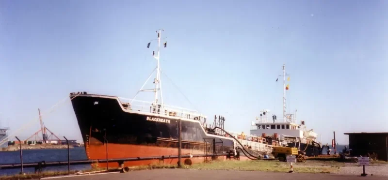 JS DESIRE Tanker IMO 7822342 photo 2
