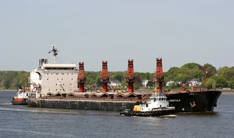 ARABIAN VENTURE Bulk Carrier IMO 7822378 photo 3