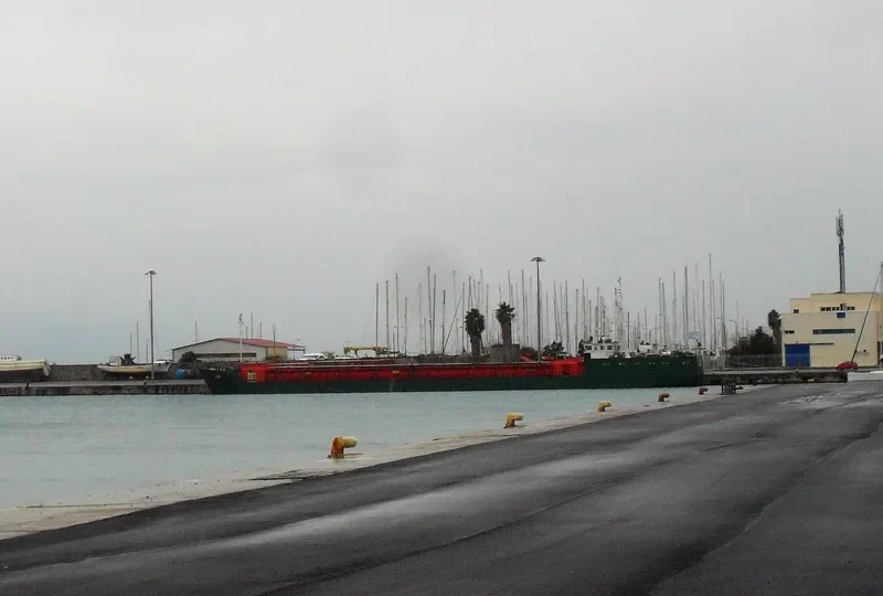 ZOE General Cargo IMO 7822483 photo 2