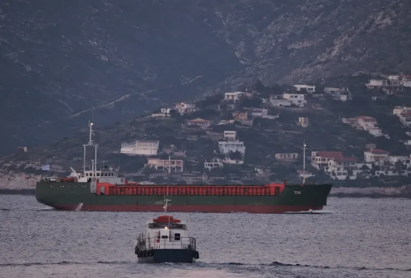 ZOE General Cargo IMO 7822483 photo 8