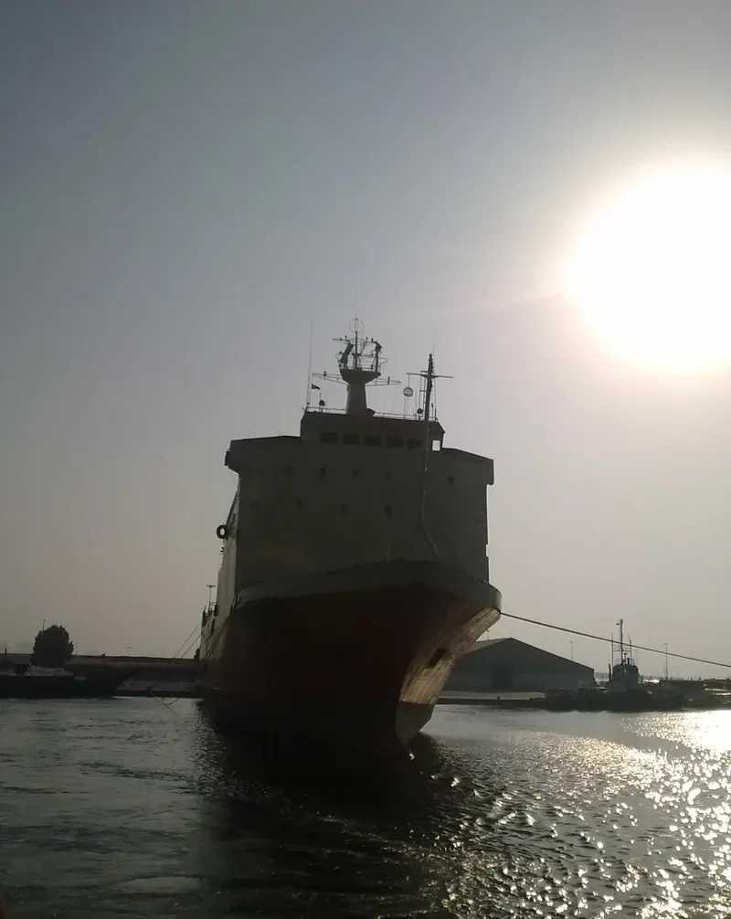 SUPER SHUTTLE RORO 5 Ro-Ro IMO 7822500 photo 4