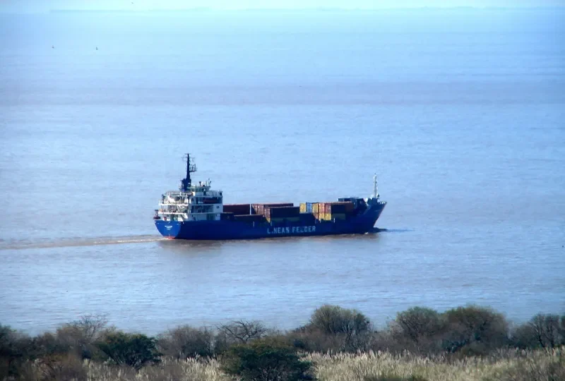 PLATA FEEDER General Cargo IMO 7822524 photo 5