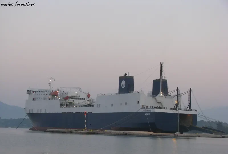 OLYMPUS Ro-Ro IMO 7822859 photo 10