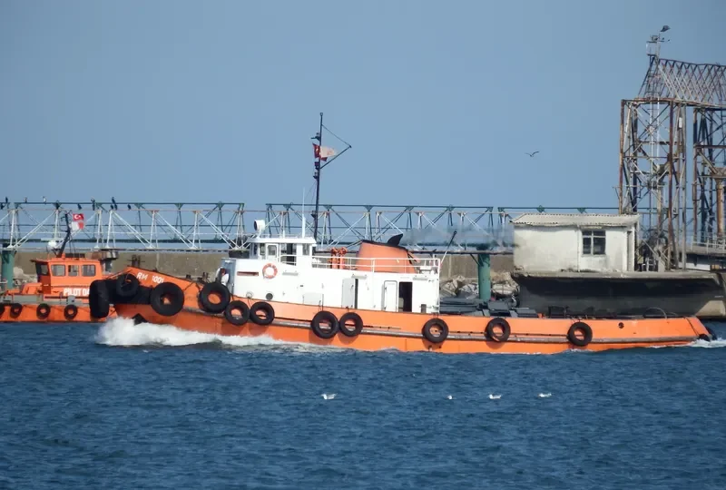 RM 1001 Tug Boat IMO 7822897 photo 2