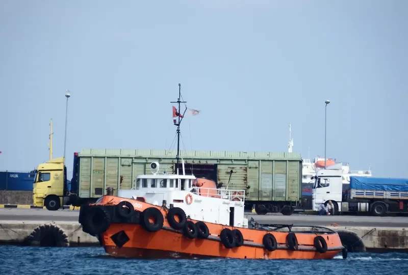 RM 1001 Tug Boat IMO 7822897 photo 3