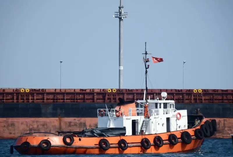 RM 1001 Tug Boat IMO 7822897 photo 4