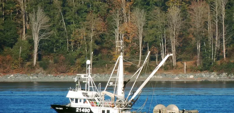 SNOW DRIFT Fishing Vessel IMO 7823023 photo 7
