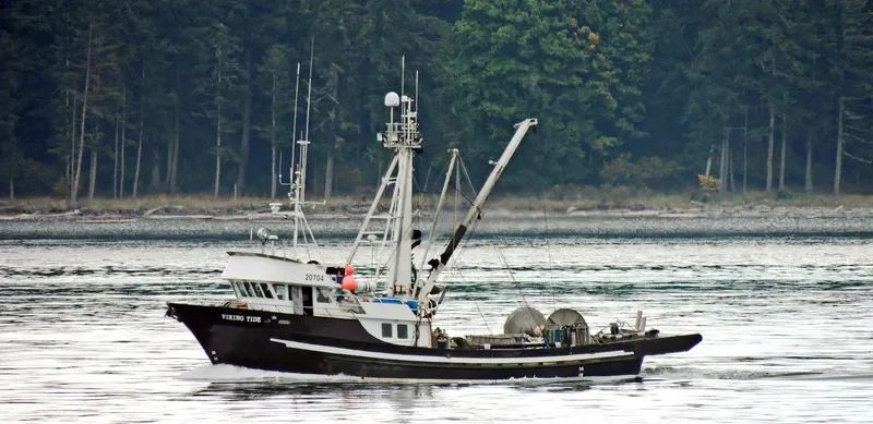 VIKING TIDE Fishing Vessel IMO 7823035