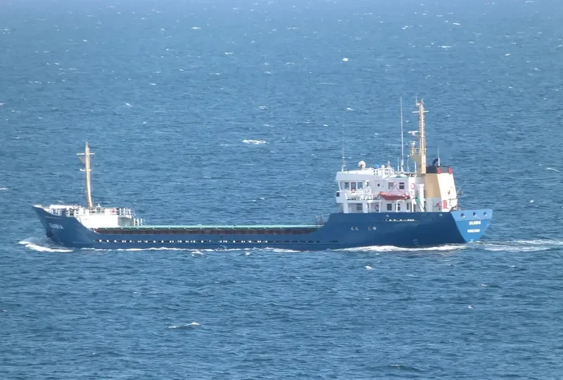 GLOBIA General Cargo IMO 7823334 photo 6